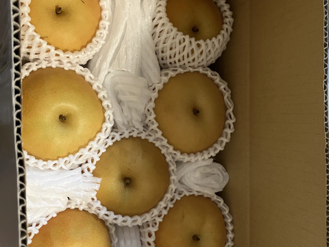 今すぐ発送！【特別栽培農産物】生産者一押し！とにかく甘い！和梨の南水3㎏