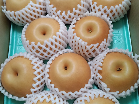 令和8年9月発送【予約】梨 南水 良品 5kg 長野県産 大好評‼️