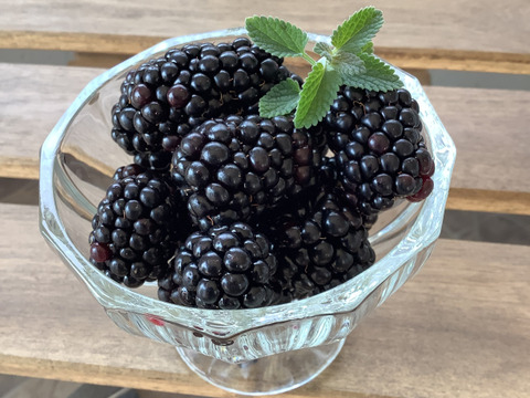 【栽培期間中　農薬不使用】加工用冷凍ブラックベリー500g×2パック