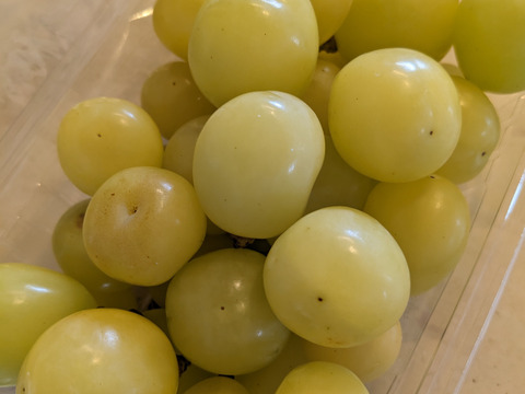 粒でも美味しいシャインマスカット粒パック1kg