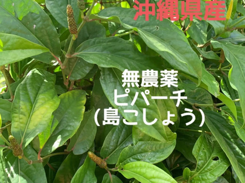 【数量限定】沖縄県産ヒハツ（胡椒）250g