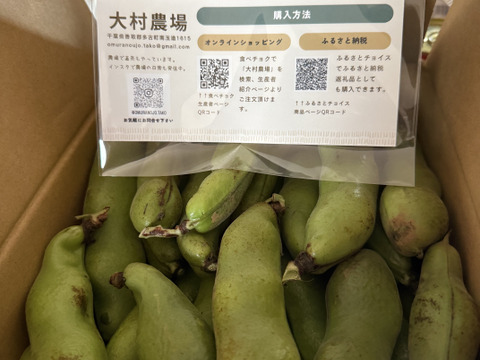 早期予約受付中】2027年発送・空豆☆朝収穫当日発送（ご家庭用・2kg