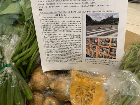 【利益還元祭】開催中！今年最後の大セール 初回限定BOX】使いやすいお野菜セット※おススメレシピ付き 野菜