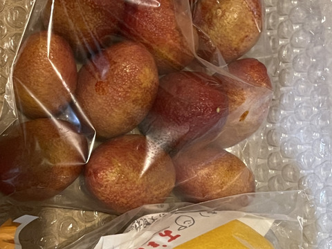 【大豊作のため50%増量中！】
樹上完熟&農薬不使用希少デザートライムオーストラリアンブラッドライム
(いちごと同梱可)