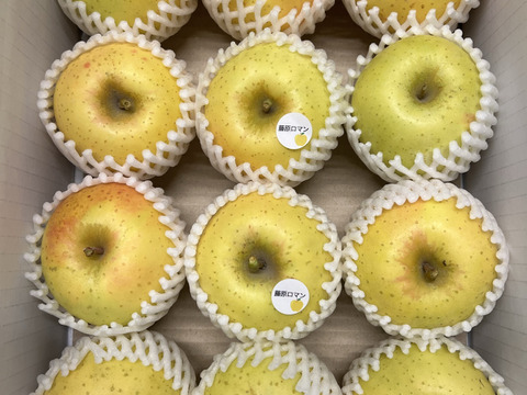 【ロマンシリーズ】　藤原ロマン　家庭用小玉 約3kg（11～14玉）