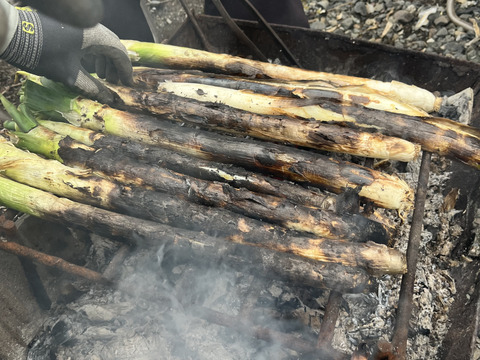 とろける甘さ！鍋料理におすすめ♪長ねぎ（土付き）5kg
