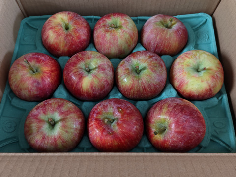 残り5ケース早い者勝ち🍎シナノリップ3キロ箱 6玉〜15玉サイズ 商品ID41076 長野県 信州 安曇野 リンゴ 幻 幻のリンゴ 予約 希少 旬
