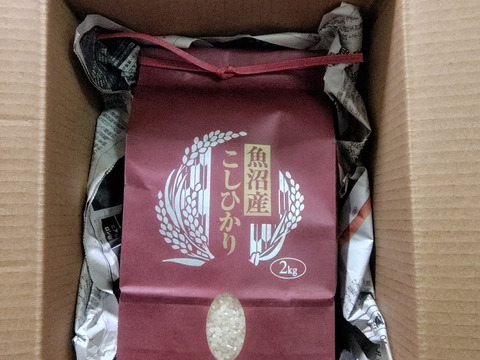 令和7年産 魚沼産コシヒカリ2Kg