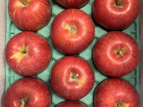 【予約販売】やさしい甘さ シナノスイート 約3kg(8～12個)