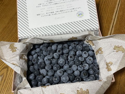 極上】完熟 生ブルーベリー！ 甘くてジューシーな 500g：静岡県産の