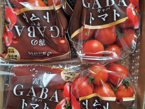 血圧が高めの方に！霧のGABAトマト（機能性表示食品） 300g×4パック