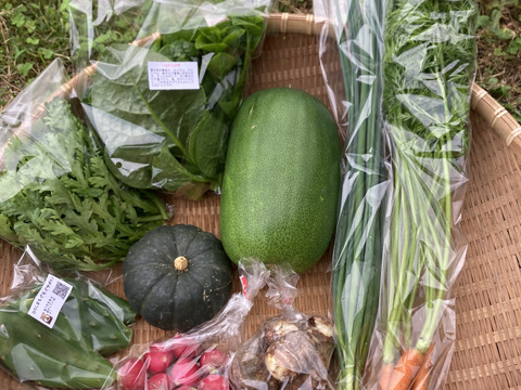 旬の野菜セット（7～9品種）