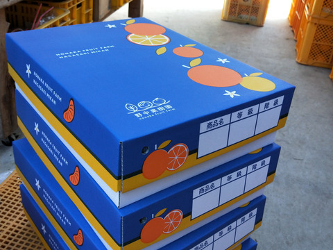 【2月15日から発送】果汁たっぷりじゅわ～💕ハウス完熟せとか　3ｋｇ(10～15玉）×1箱
