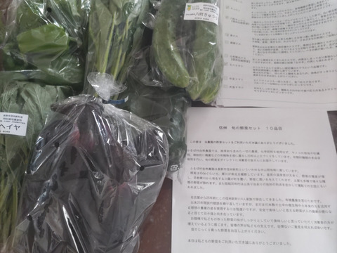 信州春野菜セット【10品目】