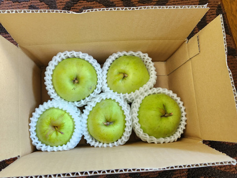 希少品種!印度りんご　5玉　小さめ