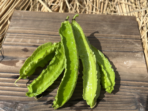 熱帯野菜の四角豆（200g）