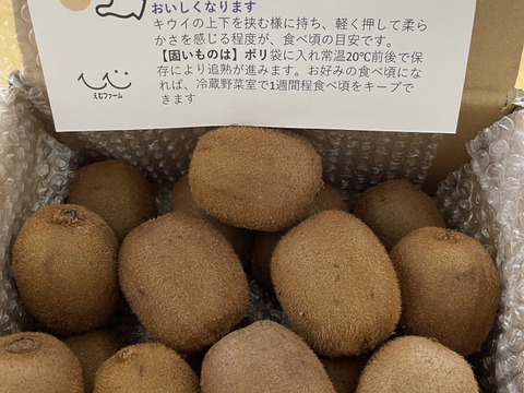 農薬・化学肥料不使用、　熟成で甘みが乗ってきたグリーンキウイML中心玉揃え２ｋｇ