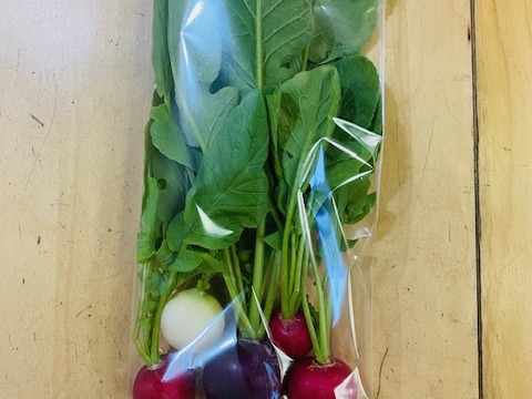 カラフルラディッシュ1kg(6～7袋、1袋当たり4個以上)　テーブルを華やかに！　　京都府産