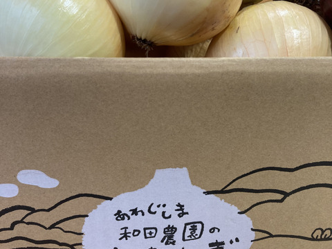 トロあま七宝！淡路島産新玉ねぎ5kgM〜L L