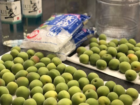 【特別栽培】和歌山県産　南高梅Mサイズ(梅酒、梅シロップ用)2.5kg