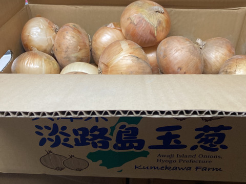 淡路島で一番美味しい品種‼️淡路島産玉ねぎ 「七宝」 10kg