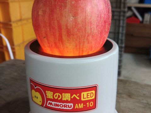 加工用に最適な訳ありのりんご🍎サンふじ🍎　　10kg　大玉～小玉入り