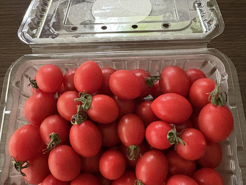 シュガープラム1kg 糖度10度以上の高リコピン(13mg)極甘・完熟・高糖度ミニトマト　ジューシーな甘さがクセになる(300003)