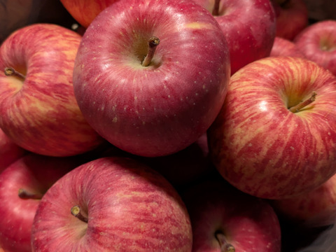 肥料・堆肥なし栽培りんご
「有袋ふじ」 ご自宅向け　約2.5kg(8〜10個)