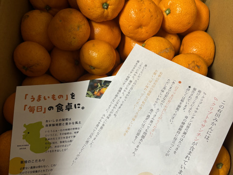 【訳あり】濃厚なコクと酸味がおいしい！有田みかん★早生★自家製堆肥栽培★大満足10kg★和歌山