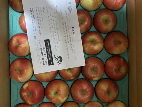 🍎🏃‍♀️💨秒でシーズン終わります】夏あかり 5キロ箱 小玉品種 ～33