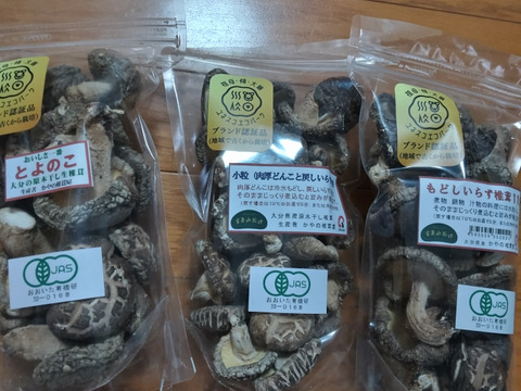 【食べ比べ】山からの贈物（戻しいらずの干し椎茸　大分産　どんこ（肉厚）１００ｇ、中肉９０ｇ、小粒１００ｇの３袋　ビタミンDと食物繊維が豊富）