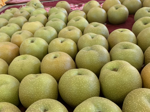 【期間限定】【豊水】我夢舎羅村　5キロ