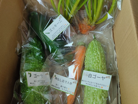 旬のお野菜セット（3～5品）クール便