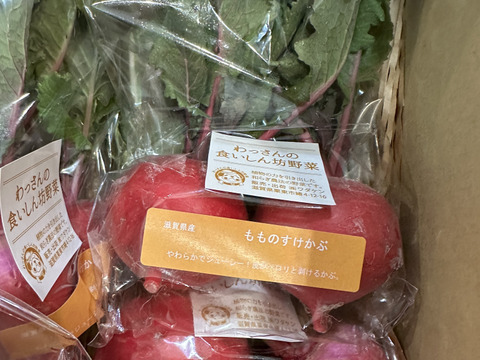 和らぎ農法　もものすけかぶ（2～6個）