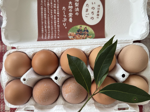 のびのび平飼い『いのちのたまご』10個入り×3パック