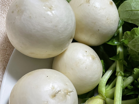 60サイズの野菜セット