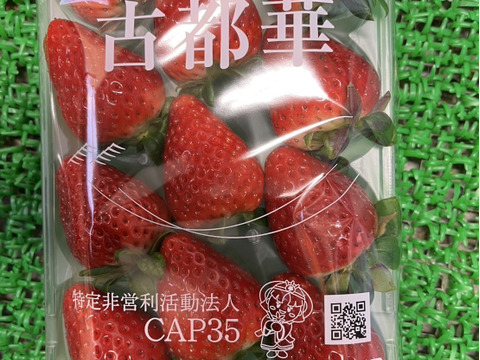 奈良県ブランド高級いちご(古都華)
280g✖️4パック
