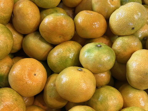 【即日発送】【訳ありハウスみかん】驚きの価格！甘～い美味しさをご家庭で！お盆に間に合う！数量限定でお得な今期最終販売！とろける甘さ！「蜜ツ星（みつぼし）」　訳あり品　約２ｋｇ【商品番号31-2kg】