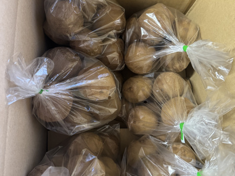 【毎日のフルーツに】福岡県八女産アップルキウイ 約6kg｜５５個以上｜ご家庭に一番おすすめ｜ 食べやすいサイズ中心（約111〜145g）｜農薬・化学肥料不使用