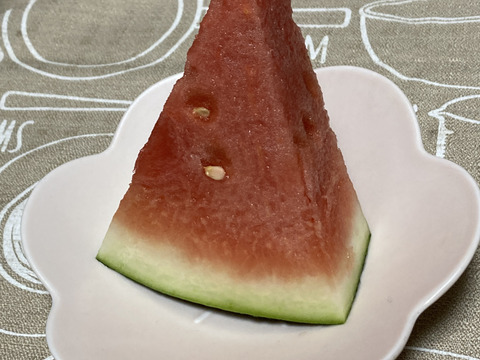 【夏のお楽しみセット】小玉スイカと生食OKのとうもろこしで夏を満喫(^^) V 甘くてシャリシャリの小玉スイカ🍉と早朝収穫のとうもろこし🌽の中から品種おまかせのセットでお届け!【夏ギフト】