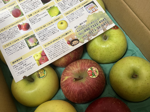 【3種食べ比べセット】サンふじ　シナノゴールド　王林　（9個～12個）3キロ箱使用