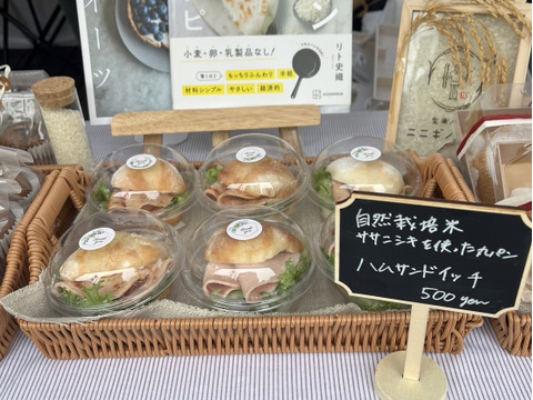 令和6年度 宮城県登米市産環境保全米 玄米15キロ kaori.tさん専用