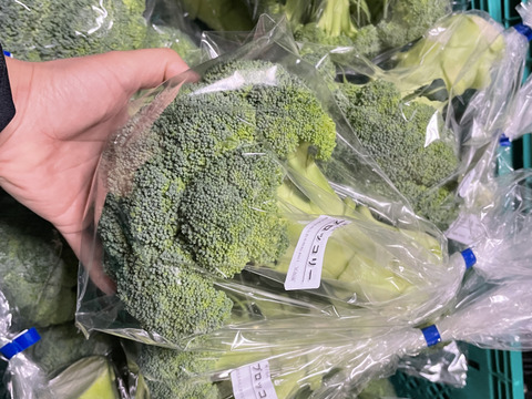【緊急大放出】日常使用する野菜を中心とした野菜セット100サイズ