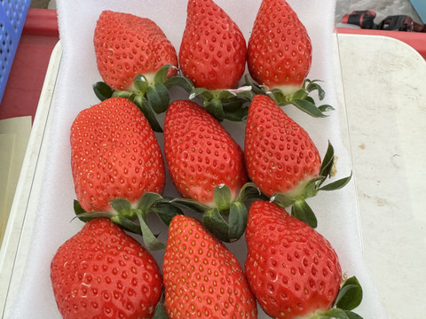 JGAP認証・千葉県産かおりのセット(2パック入り)