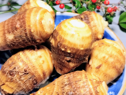 農薬不使用　トロリもっちり里芋　原っぱ農園の在来里芋4.5キロ　蔵王町在来里芋