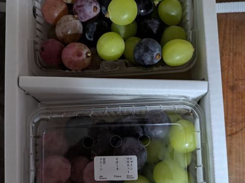 [TUBU] ブドウMIXパック（500g×2パック）