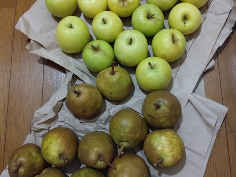 ラスト1箱2種盛！お試しラフランス3キロ＋訳あり王林3キロ　合計6キロ以上。　農薬半減栽培で安心安全