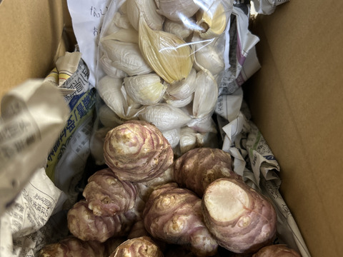 ※ウジャ様専用【大きい！仮洗浄済み！】イヌリンたっぷり♪香川県産紅キクイモ　4kg(きくいも、菊芋)