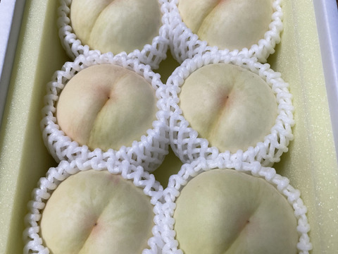 【2025年・岡山の白桃・おかやま夢白桃】希少品種！ギフトにも★とろける果肉とたっぷり果汁の白桃（1.5㎏箱）