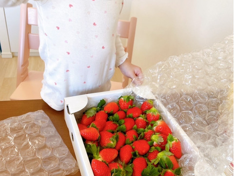【さがほのか】5月の❤️きらきら🍓ほのかちゃん2箱